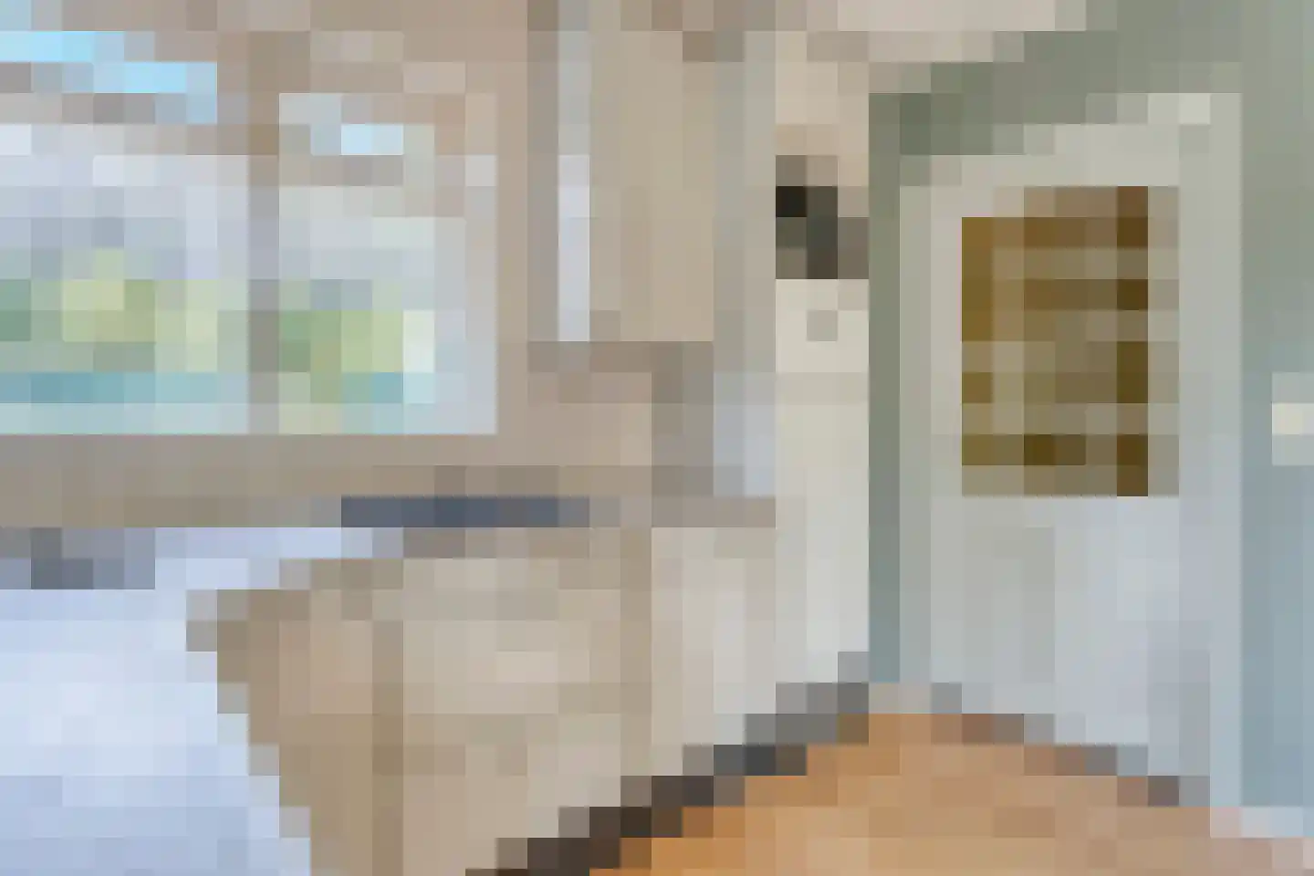 Dommerswijk 28 De Krim thumbnail 16