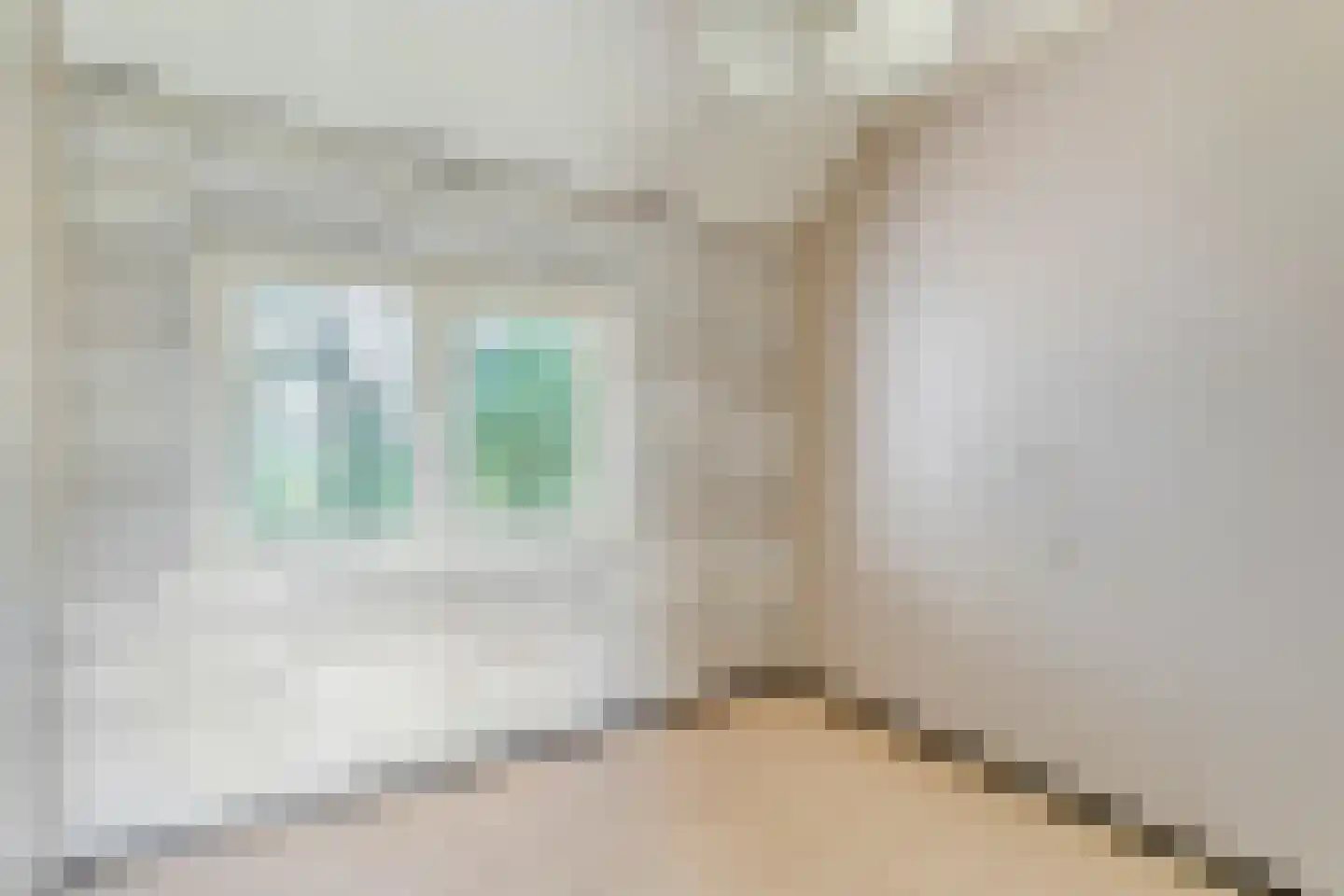 Dommerswijk 28 De Krim thumbnail 19