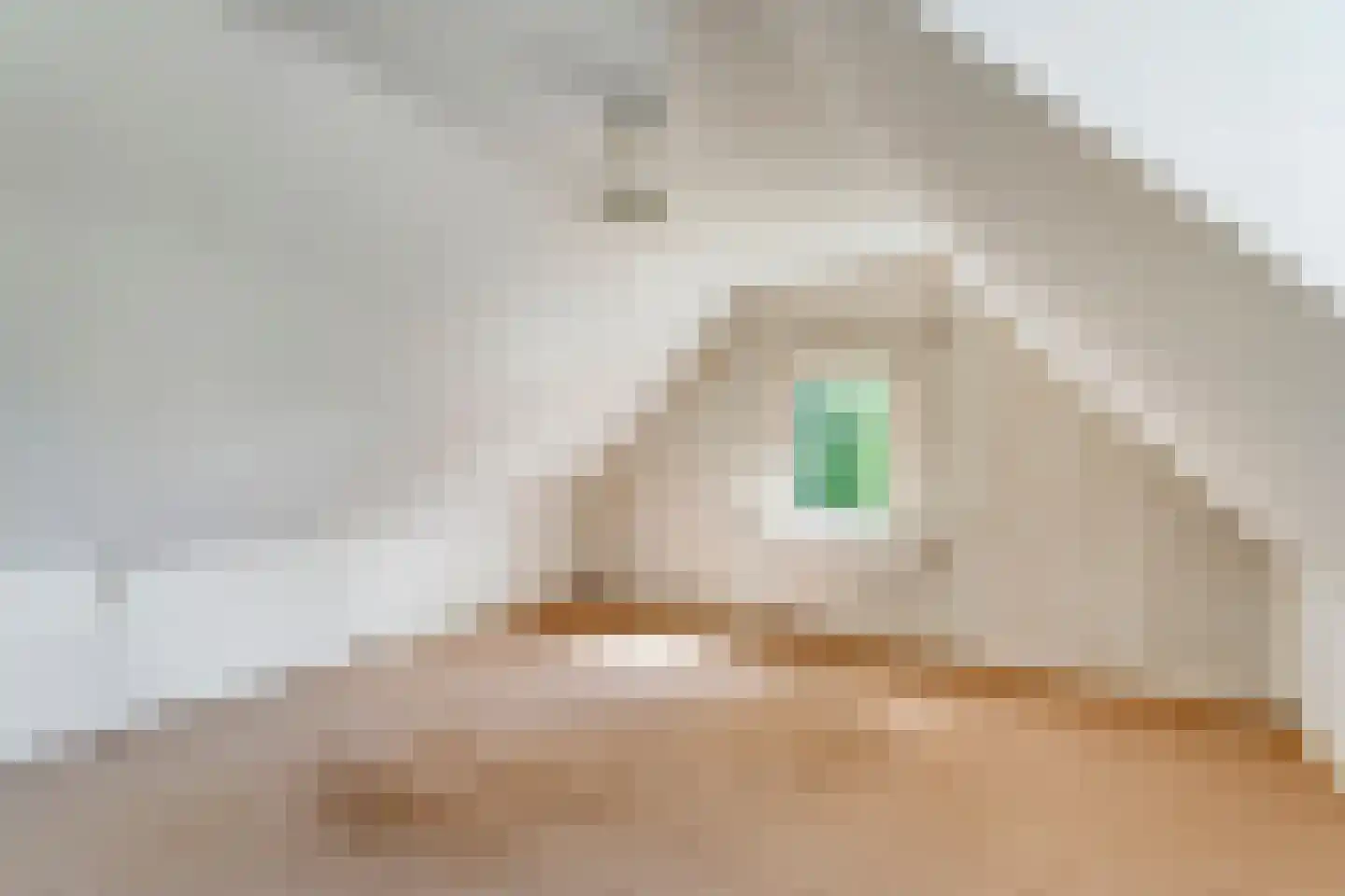 Dommerswijk 28 De Krim thumbnail 21