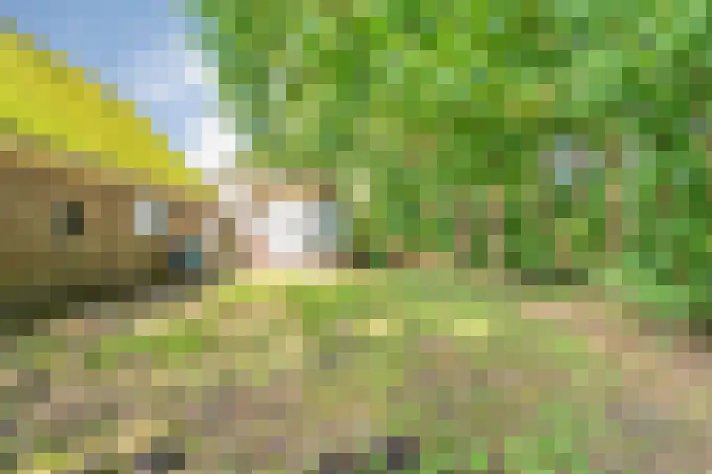 Dommerswijk 28 De Krim thumbnail 27