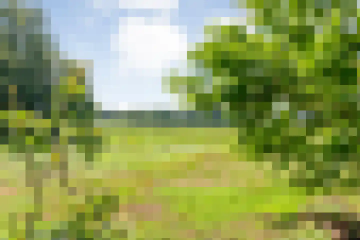 Dommerswijk 28 De Krim thumbnail 31