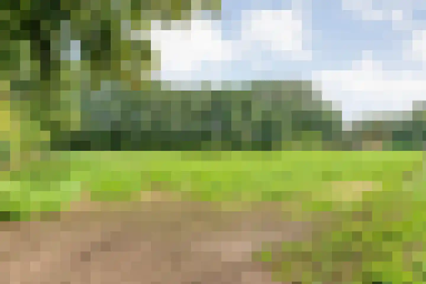 Dommerswijk 28 De Krim thumbnail 33