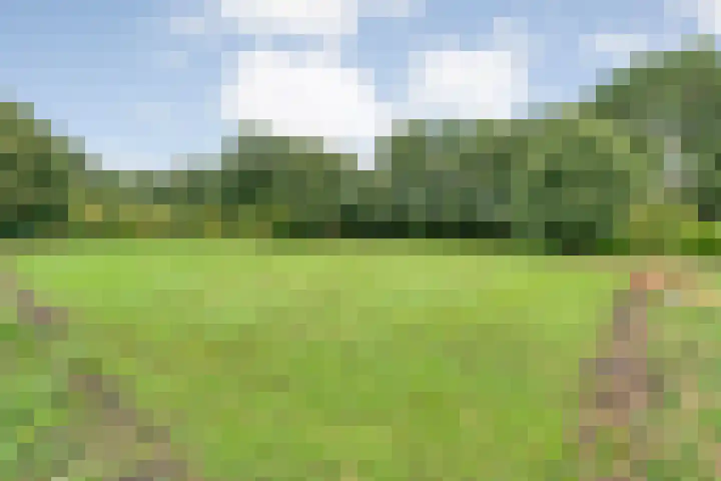 Dommerswijk 28 De Krim thumbnail 34