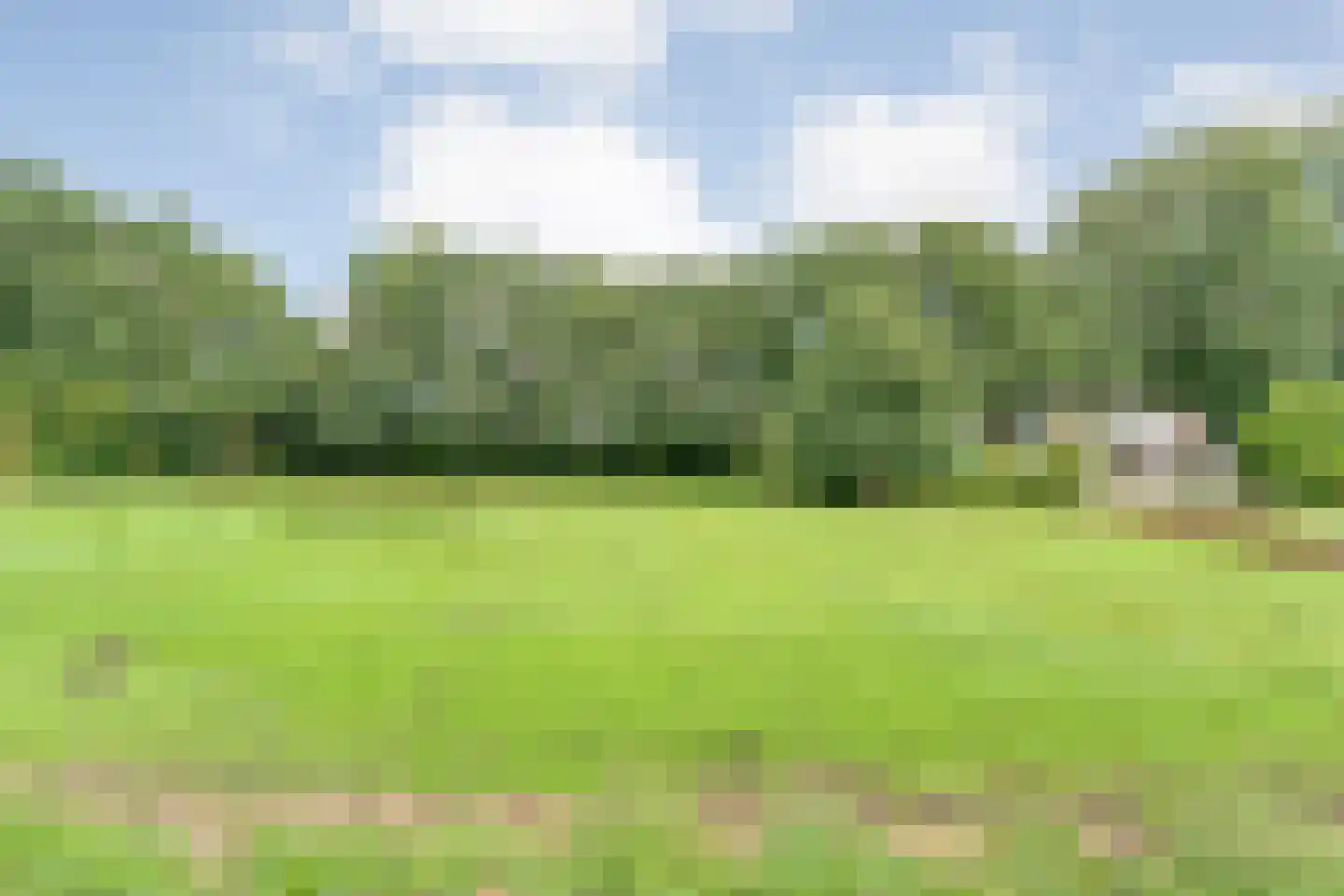 Dommerswijk 28 De Krim thumbnail 5