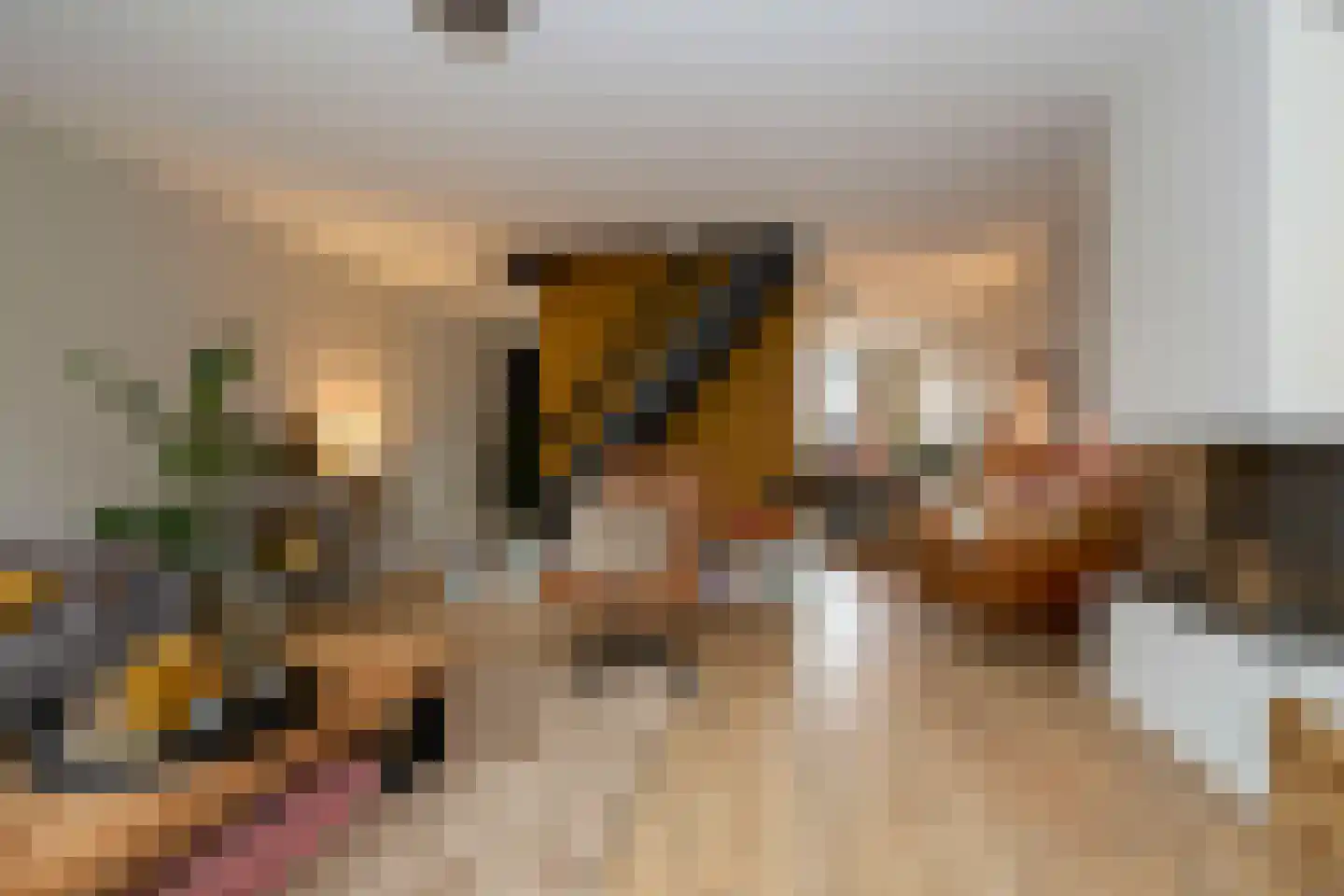 Dompad 14 Noordwijk thumbnail 18