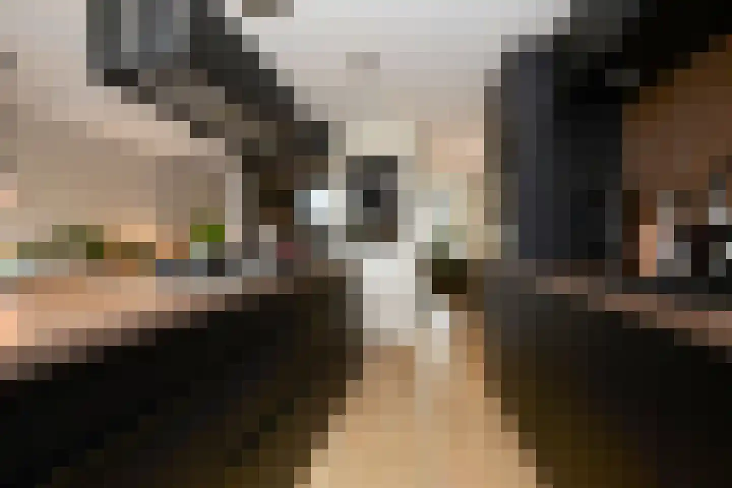 Dompad 14 Noordwijk thumbnail 23