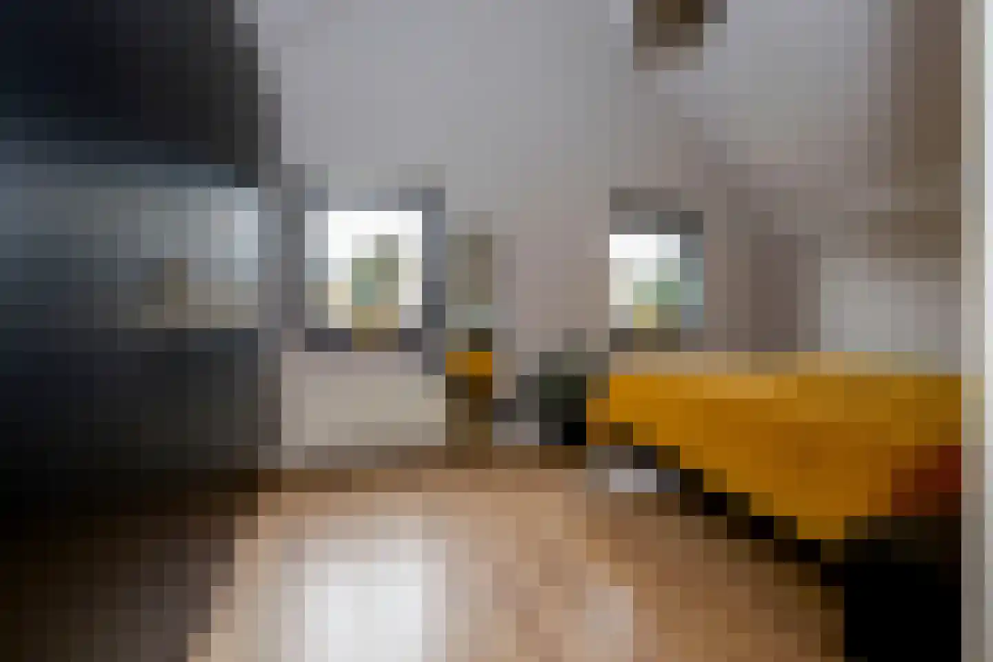 Dompad 14 Noordwijk thumbnail 30