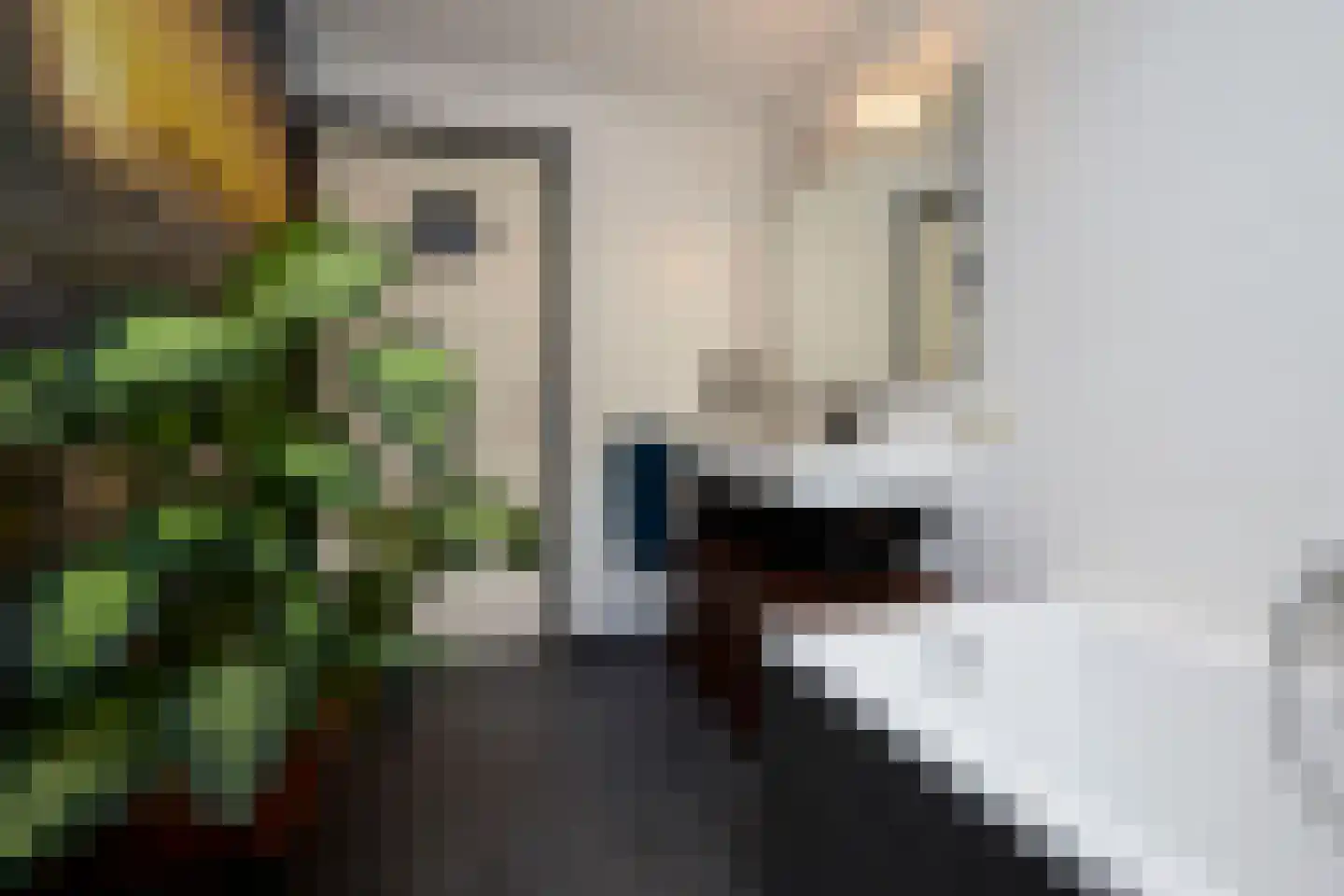 Dompad 14 Noordwijk thumbnail 34