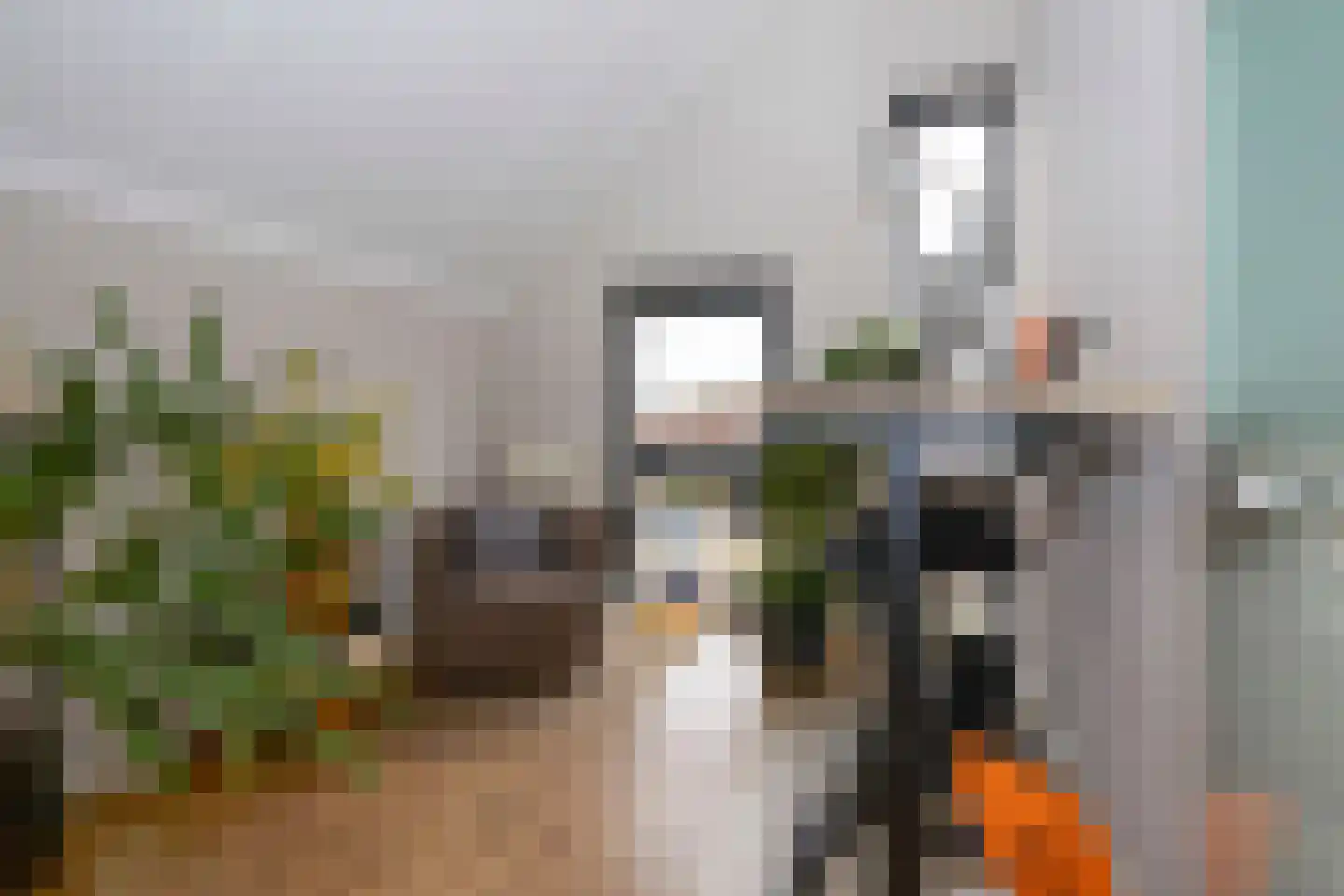 Dompad 14 Noordwijk thumbnail 42