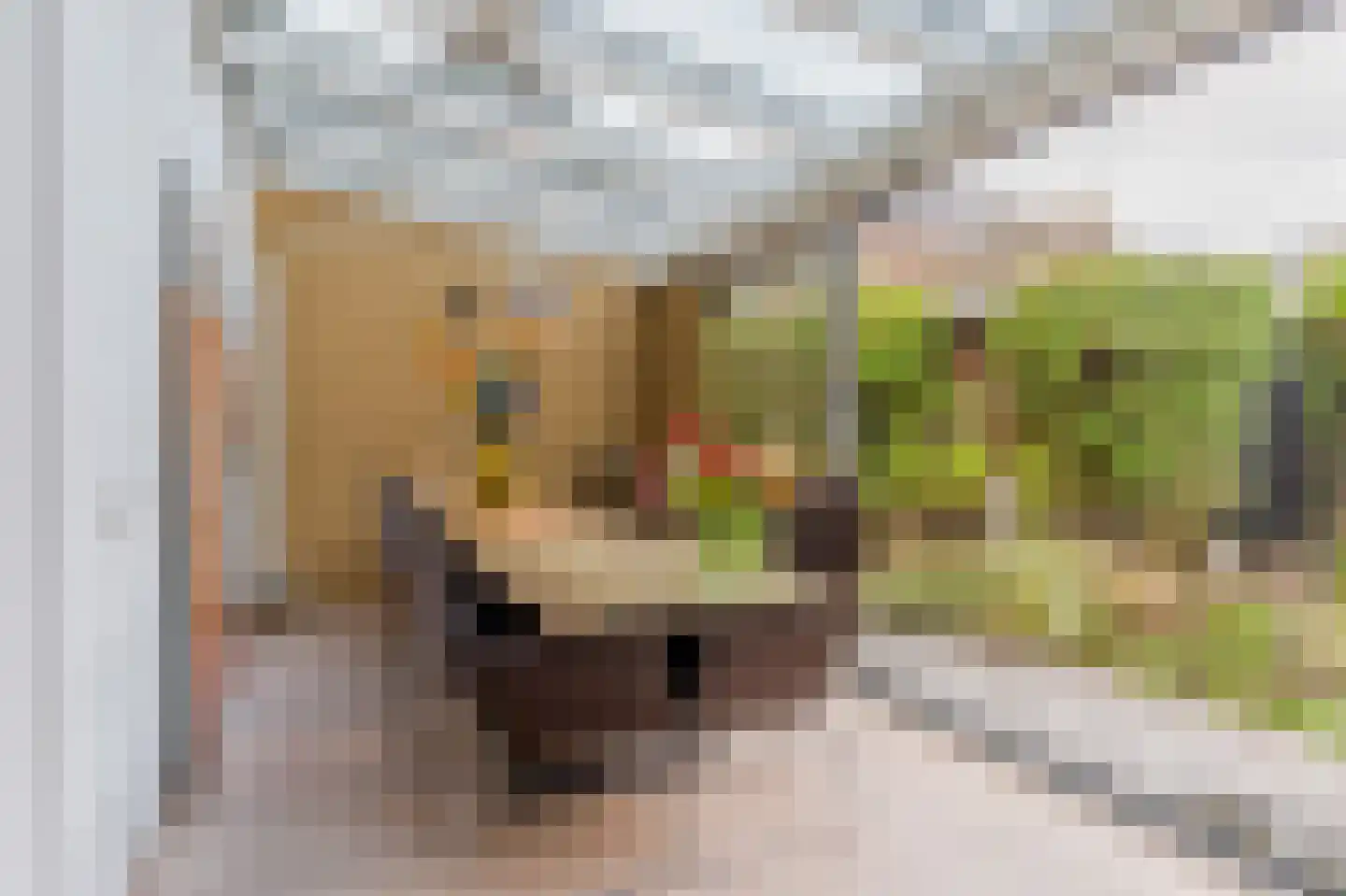 Dompad 18 Noordwijk thumbnail 23
