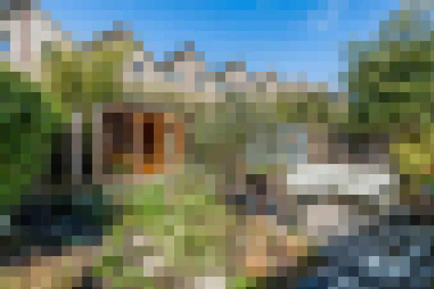 Dompad 18 Noordwijk thumbnail 45