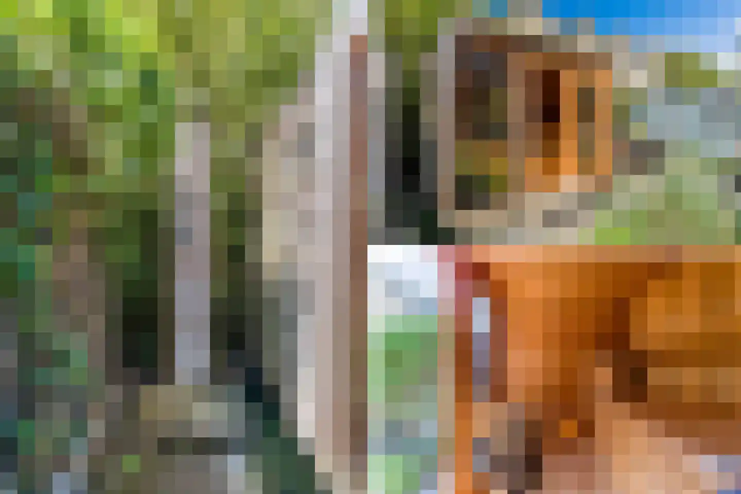 Dompad 18 Noordwijk thumbnail 47