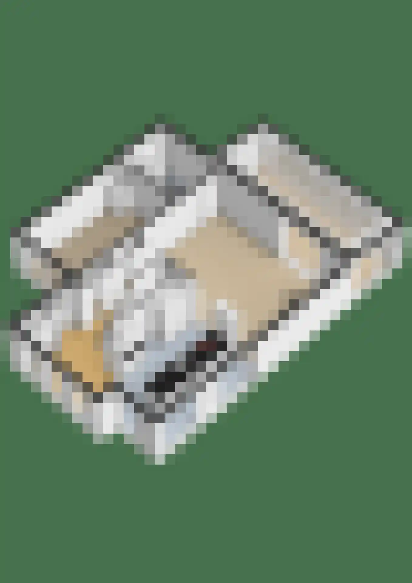 Dompad 18 Noordwijk thumbnail 66