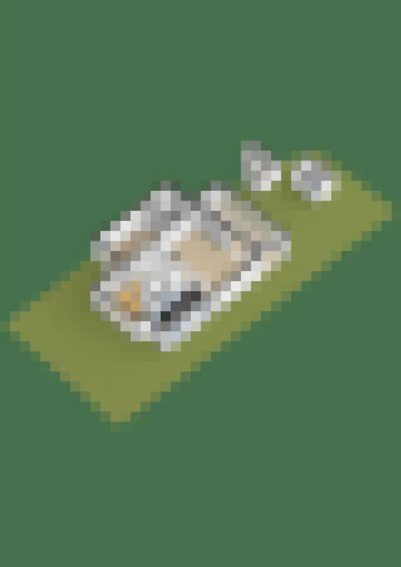 Dompad 18 Noordwijk thumbnail 69