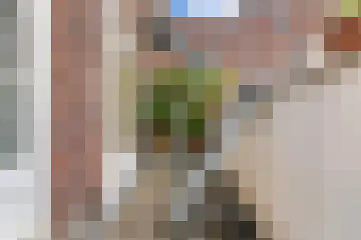 Domplein 2 BS Utrecht thumbnail 14