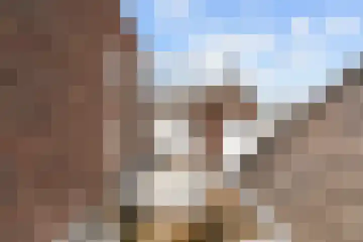 Domplein 2 BS Utrecht thumbnail 40