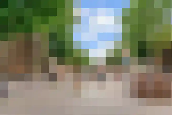 Domplein 2 BS Utrecht thumbnail 45