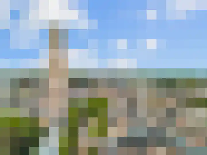 Domplein 2 BS Utrecht thumbnail 52