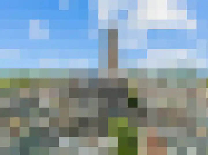 Domplein 2 BS Utrecht thumbnail 54