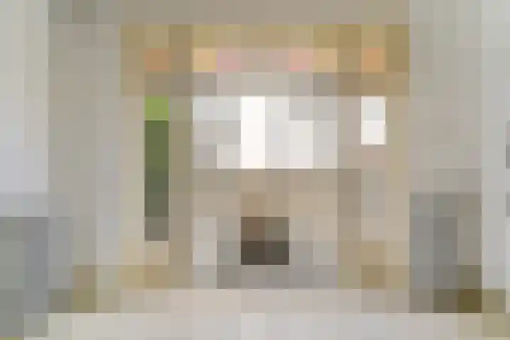 Domplein 2 BS Utrecht thumbnail 9