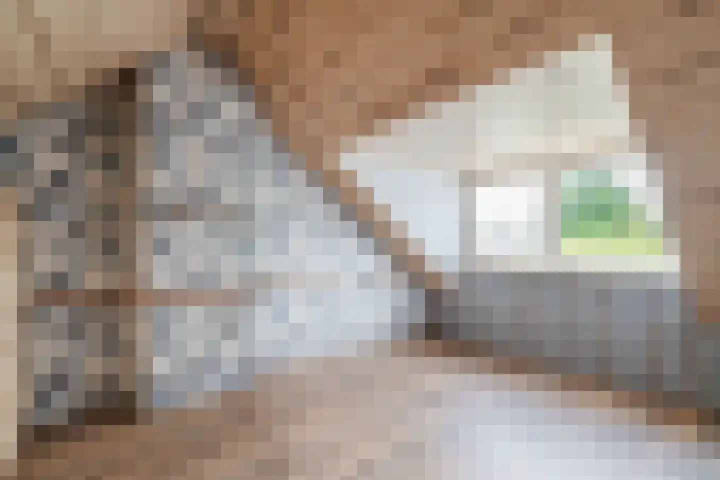 Domproostlaan 2 Doorn thumbnail 33