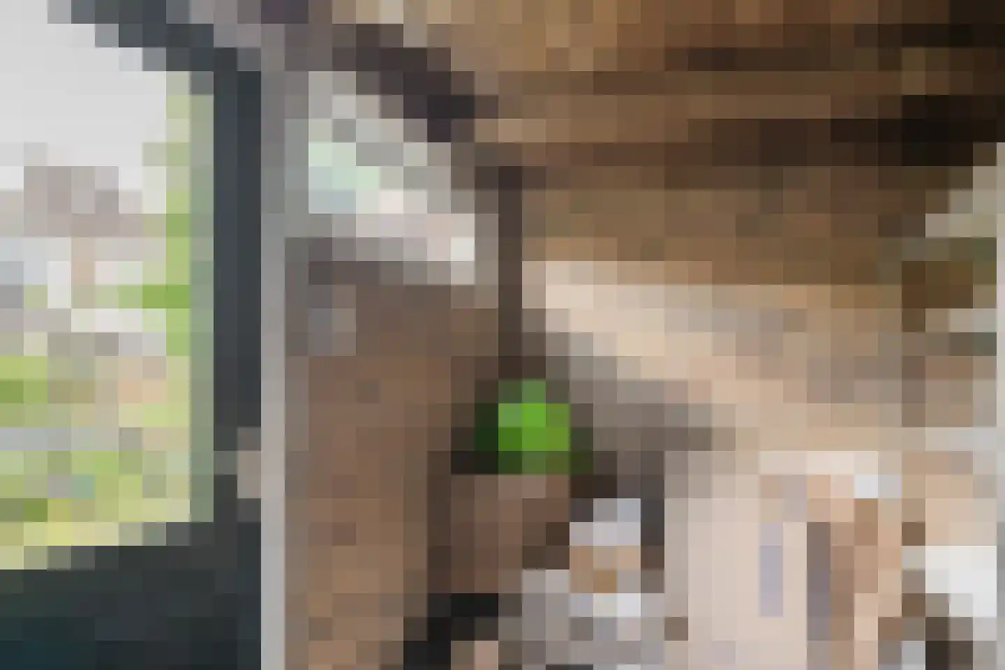 Domproostlaan 2 Doorn thumbnail 40