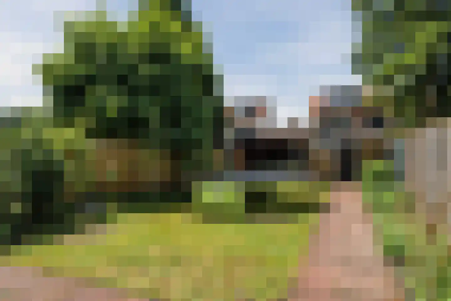Domproostlaan 2 Doorn thumbnail 42