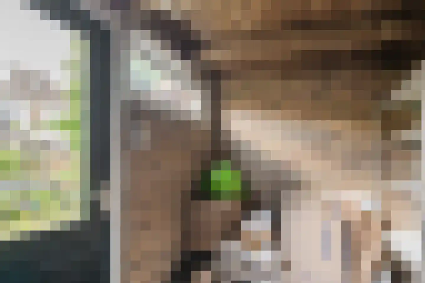Domproostlaan 2 Doorn thumbnail 48