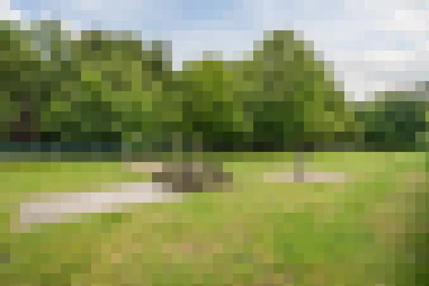 Domproostlaan 2 Doorn thumbnail 53