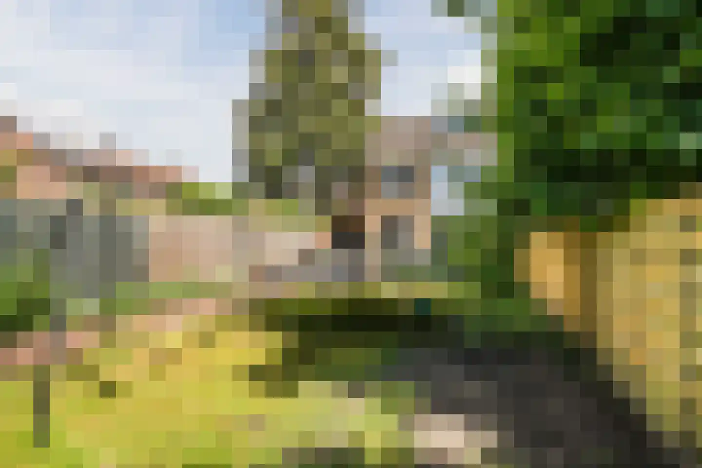 Domproostlaan 2 Doorn thumbnail 59