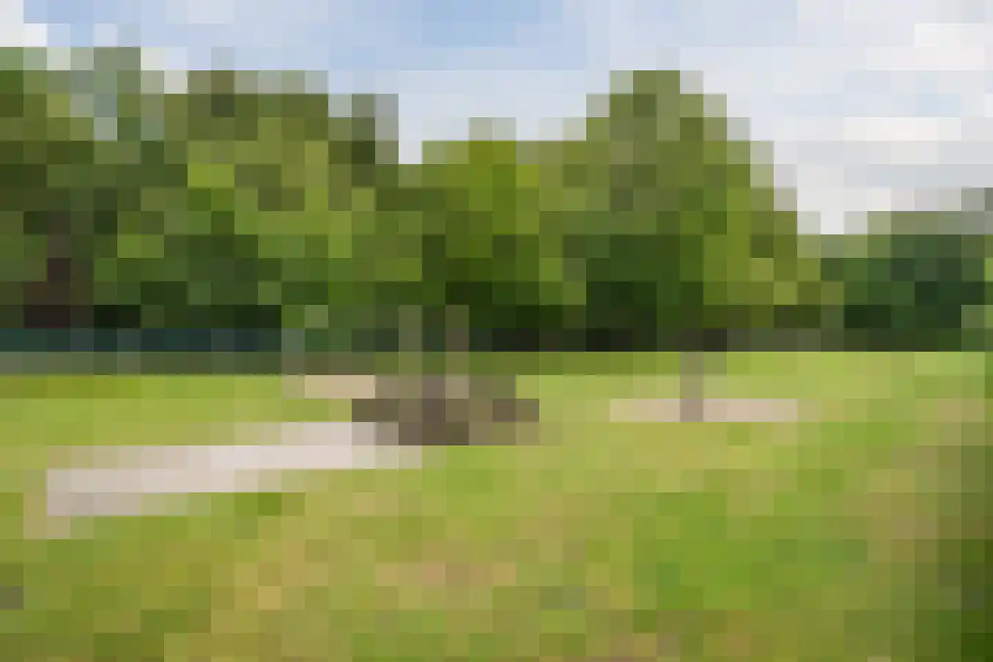 Domproostlaan 2 Doorn thumbnail 61
