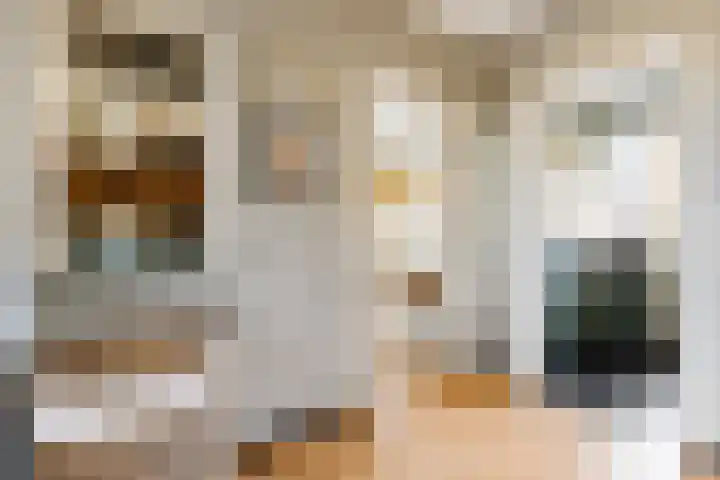 Dompvloedslaan 10 Overveen thumbnail 10