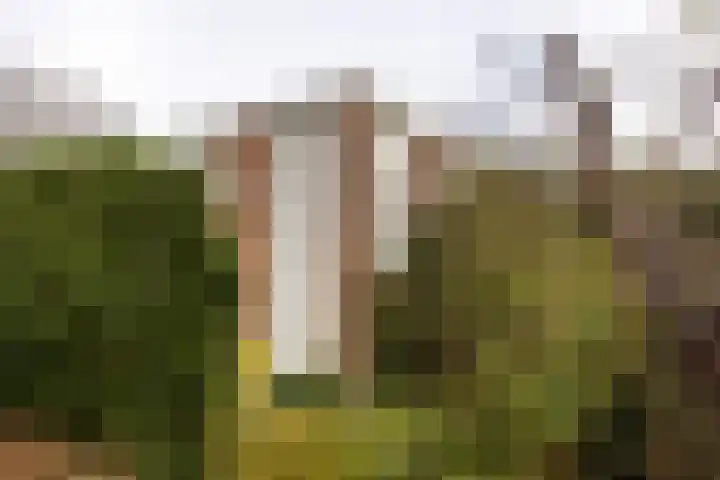 Dompvloedslaan 10 Overveen thumbnail 17