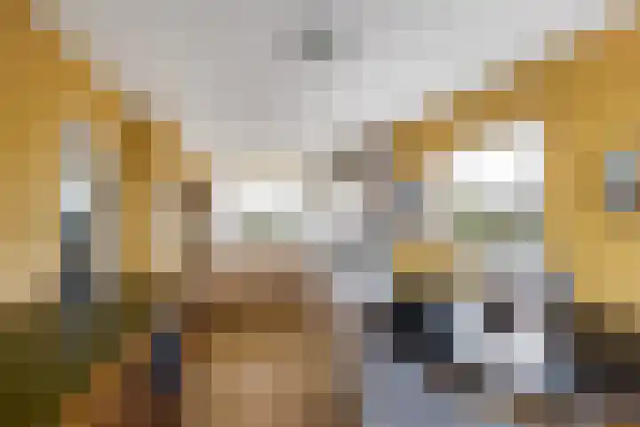 Dompvloedslaan 10 Overveen thumbnail 4