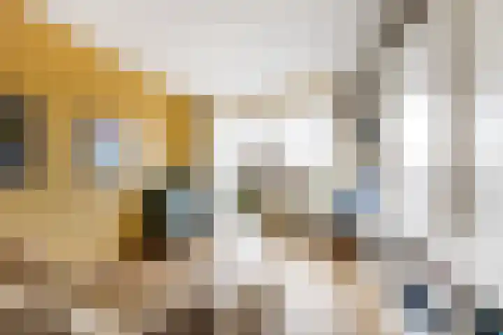 Dompvloedslaan 10 Overveen thumbnail 6