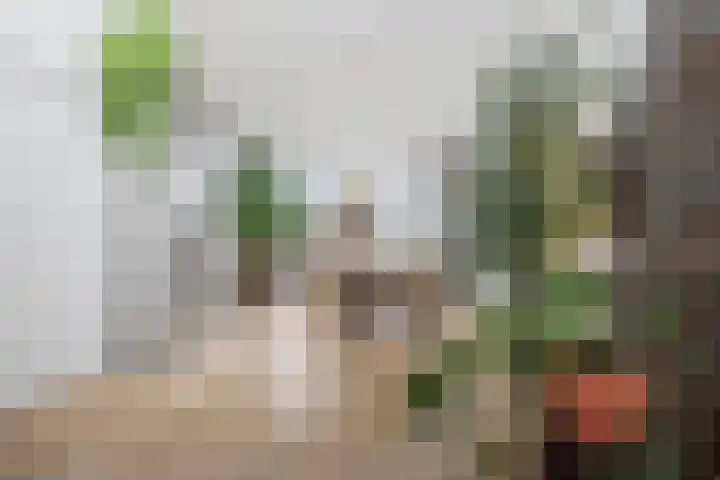 Dompvloedslaan 112 Overveen thumbnail 10