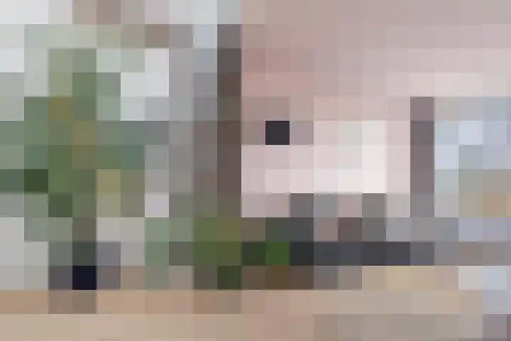 Dompvloedslaan 112 Overveen thumbnail 12