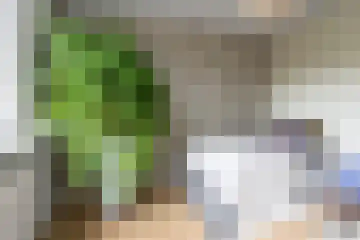 Dompvloedslaan 112 Overveen thumbnail 15