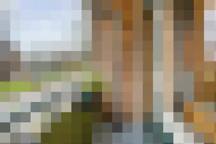 Dompvloedslaan 112 Overveen thumbnail 20
