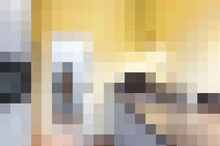 Dompvloedslaan 112 Overveen thumbnail 21