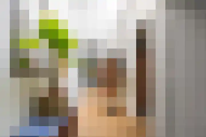 Dompvloedslaan 112 Overveen thumbnail 25