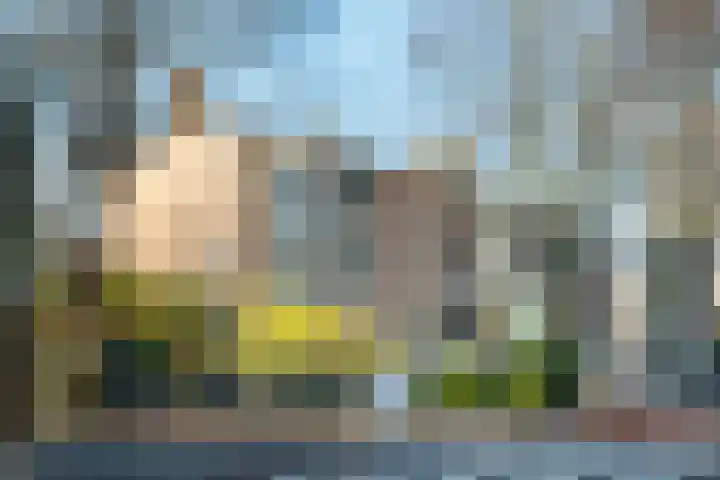 Dompvloedslaan 112 Overveen thumbnail 26