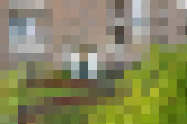 Dompvloedslaan 112 Overveen thumbnail 27