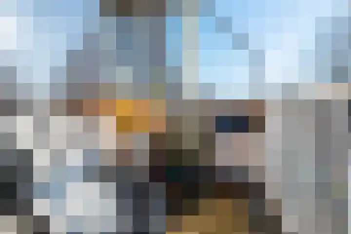Dompvloedslaan 112 Overveen thumbnail 8