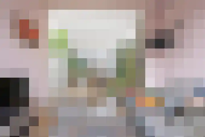 Dompvloedslaan 112 Overveen thumbnail 9