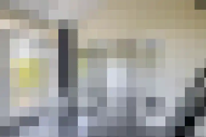 Dompvloedslaan 126 Overveen thumbnail 10