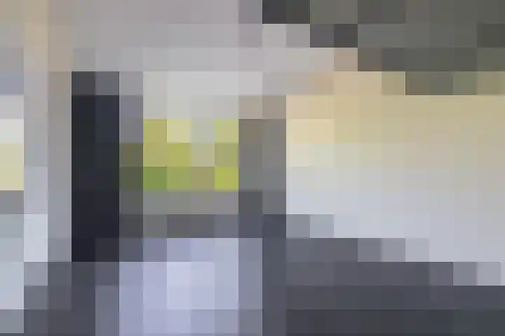 Dompvloedslaan 126 Overveen thumbnail 11