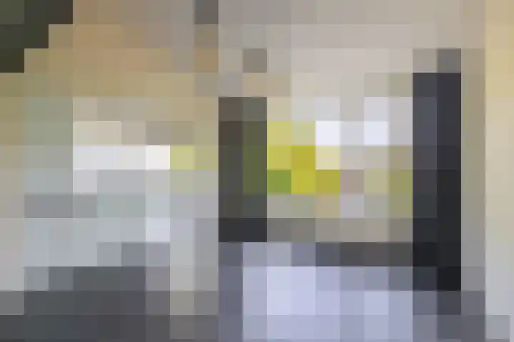 Dompvloedslaan 126 Overveen thumbnail 12