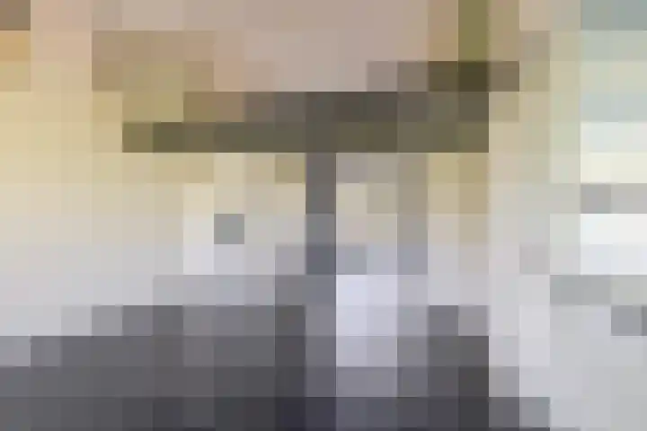 Dompvloedslaan 126 Overveen thumbnail 14
