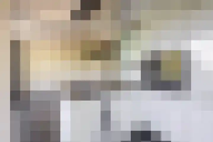 Dompvloedslaan 126 Overveen thumbnail 15